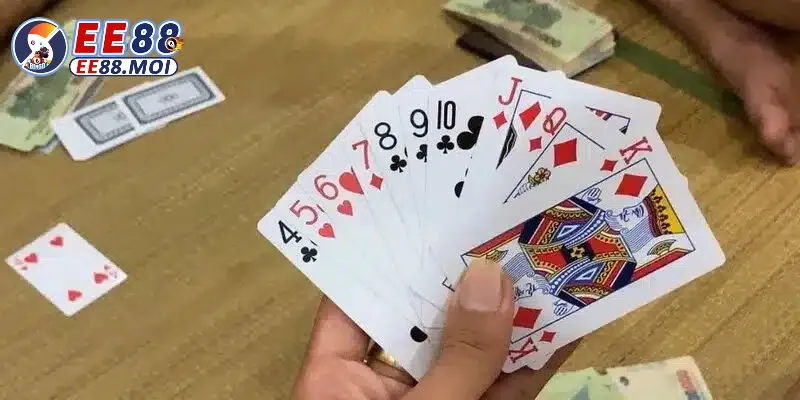 Tổng quan về Sâm 