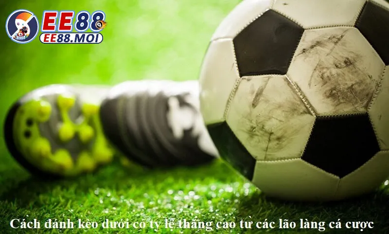 Hướng dẫn cách đánh kèo dưới