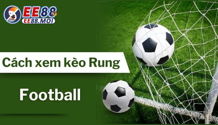 Mẹo chơi kèo rung từ chuyên gia