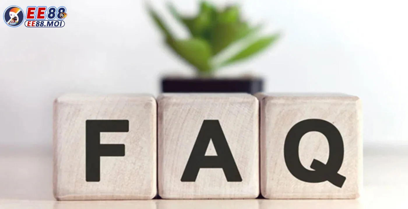 Chương trình khuyến mãi dành cho hội viên mới được thiết kế ra sao?