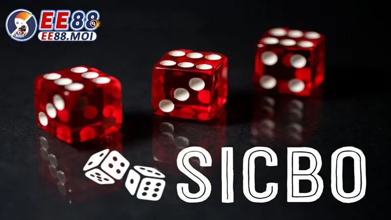 Kỹ Năng Chơi Sicbo EE88 Mới Nhất